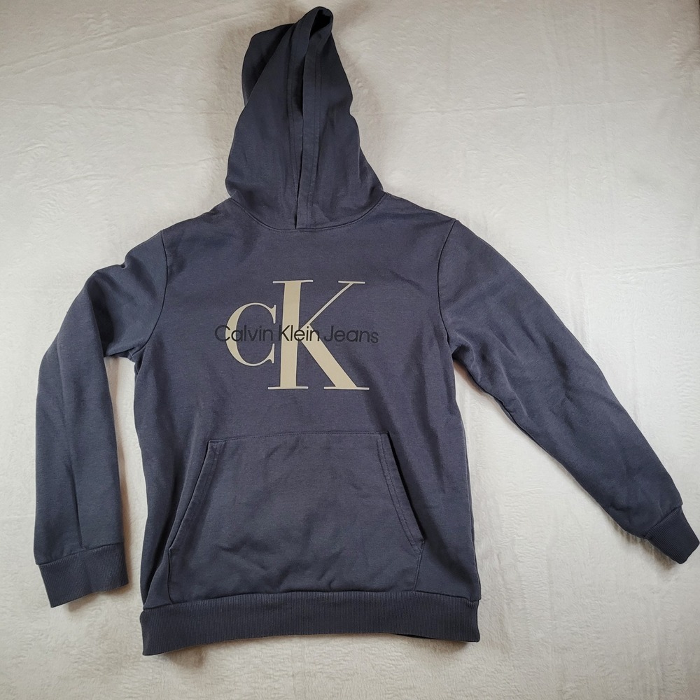 Calvin Klein Jeans Boys Gray Logo Pullover Hoodie Sweatshirt L 14/16 CKFIBO4F